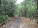 photo thumbnail #10