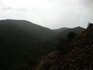 photo thumbnail #14