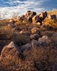 photo thumbnail #2