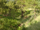 photo thumbnail #3