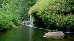 photo thumbnail #12