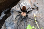 photo thumbnail #11