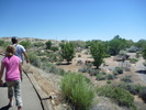photo thumbnail #7