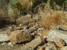 photo thumbnail #12