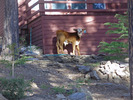photo thumbnail #9