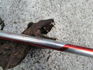 photo thumbnail #5