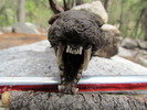 photo thumbnail #10