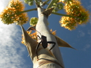 photo thumbnail #2