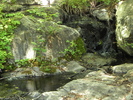 photo thumbnail #13