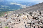 photo thumbnail #11