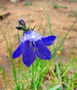 photo thumbnail #7