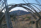 photo thumbnail #1