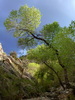 photo thumbnail #8