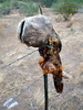 photo thumbnail #14