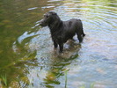 photo thumbnail #4