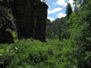 photo thumbnail #4