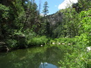 photo thumbnail #13