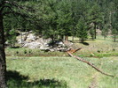 photo thumbnail #1
