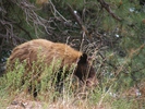 photo thumbnail #8