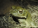 photo thumbnail #2