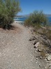 photo thumbnail #1