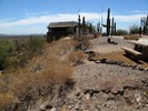photo thumbnail #3