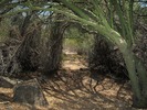 photo thumbnail #9