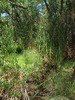 photo thumbnail #11