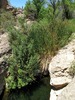 photo thumbnail #13