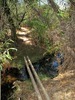 photo thumbnail #14
