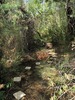 photo thumbnail #15