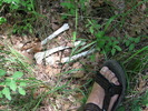 photo thumbnail #13