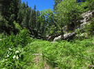 photo thumbnail #15