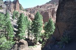 photo thumbnail #1