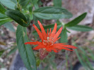 photo thumbnail #11