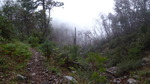 photo thumbnail #15