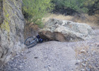 photo thumbnail #3
