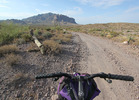 photo thumbnail #10