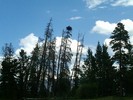 photo thumbnail #10
