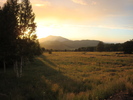 photo thumbnail #15