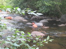 photo thumbnail #11
