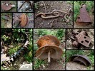 photo thumbnail #7