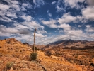 photo thumbnail #10