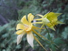photo thumbnail #9