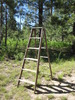 photo thumbnail #8
