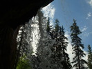 photo thumbnail #15