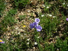 photo thumbnail #10