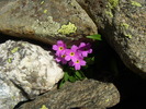 photo thumbnail #15