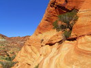 photo thumbnail #7