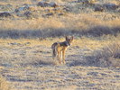 photo thumbnail #14